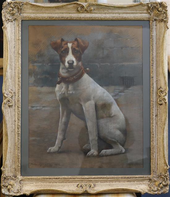 Jules Monge (French, 1855-1934) Portrait of a Jack Russell terrier 21.5 x 17in.